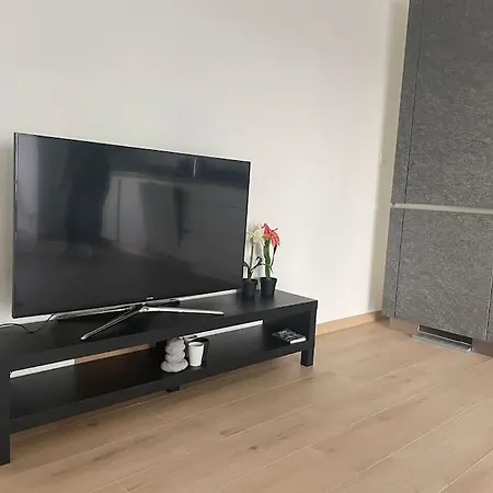 Brand New 1 Bedroom In Center W Terrace - 4a Appartement