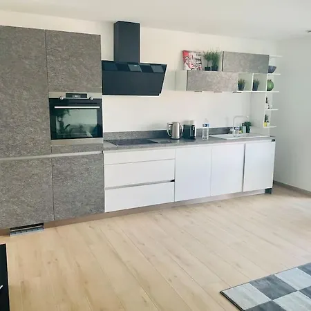 Brand New 1 Bedroom In Center W Terrace - 4a