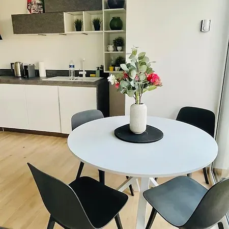 Brand New 1 Bedroom In Center W Terrace - 4a Appartement *